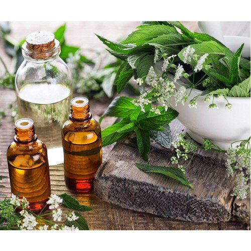 Petit Canvas Art 写真 アート プチ キャンバスアート ナチュラル 美工社 フレームレス ギフト 装飾インテリア 取寄品 ベルコモン