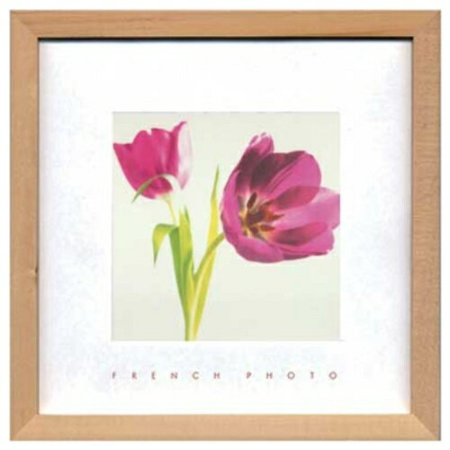 French Photography ʐ^ A[g t`tHgOtB[ Puple Tulips H ZFP-51894 ztCeA i