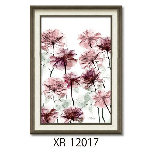 X RAYLoXA[g t[A[g Ao[gN[cB[ t[xbh MTCY [p[ XR-12017 zt CeA i