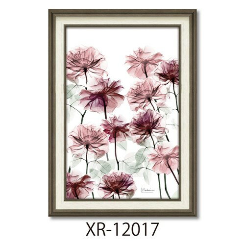 X RAYキャンバスアート フラワーアート アルバートクーツィール フラワーベッド Mサイズ ユーパワー XR-12017 額付き インテリア 取寄品 X RAYキャンバスアート フラワーアート アルバートクーツィール フラワーベッド Mサイズ ユーパワー XR-12017 額付き インテリア 取寄品