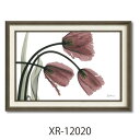 X RAYキャンバスアート フラワーアート アルバートクーツィール フリンジチューリップ Mサイズ ユーパワー XR-12020 額付き インテリア 取寄品