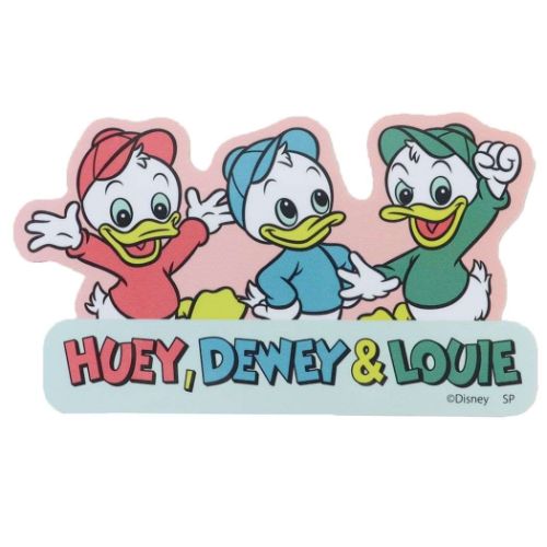 ダイカットビニールステッカー ビッグシール ヒューイ デューイ ルーイ ネーム ディズニー スモールプラネット デコシール 耐水性 メール便可