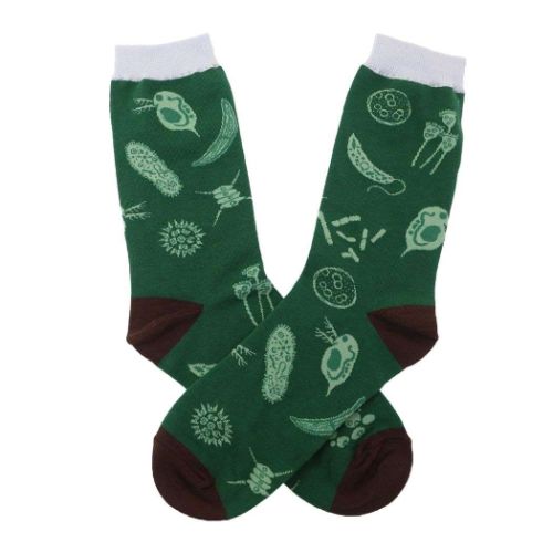 靴下 女性用靴下 STUDY HOLIC 微生物学 Green Flash かわいい おもしろ雑貨 メール便可