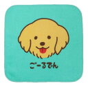 プリントミニハンカチ ミニタオル ワンワンワールド ごーるでん いぬ 犬飼タオル 汗拭きタオル かわいい メール便可