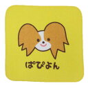 プリントミニハンカチ ミニタオル ワンワンワールド ぱぴよん いぬ 犬飼タオル 汗拭きタオル かわいい メール便可