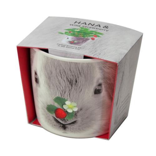 ハナ＆アニマルズ 栽培キット ウサギ ワイルドストロベリー 聖新陶芸 栽培セット ハーブ 屋内 家庭菜園 プレゼント