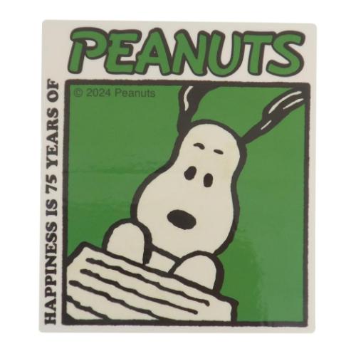 ミニデコステッカー キャラクターステッカー スヌーピー ブロックパターン 80s ピーナッツ カミオジャ..