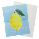 バースデーカード グリーティングカード colorfruits lemon Green Flash メッセージカード 誕生日 メール便可