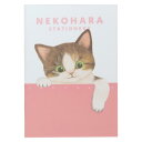 B6ノート 方眼ノート ねこハラ ピンク 新入学 ねこ 学研ステイフル 新学期準備文具 かわいい メール便可