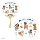 シヨチユウJSP 22-5 グリーティングカード サマー 犬フォトうちわ サンリオ 暑中お見舞い メッセージカード メール便可