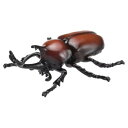 カブトムシ フィギュア アニア アニマルアドベンチャー AS-37 タカラトミー おもちゃ 子ども