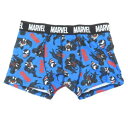 ボクサーブリーフ 男性用下着 ヴェノム スタンダード BL MARVEL スモールプラネット ギフト雑貨 メンズインナー メール便可【MARVELCorner】