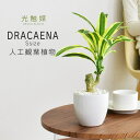 【15％OFFクーポン 5/1 0時-24時】 人工観葉植物 光触媒 ドラセナ 水やり不要 インテリアグリーン 観葉植物 造花ドラセナS 送料無料