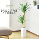 【クーポン10%オフ 8/1 0時-24時】 人工観葉植物 フェイクグリーン 観葉植物 ドラゴンツリー 造花 光触媒 5号 鉢 水やり不要 インテリア おしゃれ...