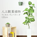 人工観葉植物 光触媒 フィカス ウンベラータ 水やり不要 高さ120 インテリアグリーン 観葉植物 造花フィカス ウンベラータ 送料無料