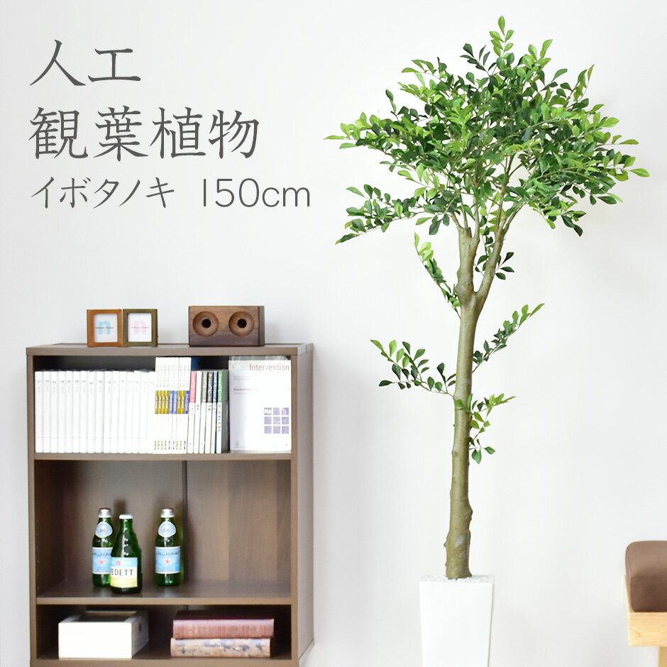 人工観葉植物 フェイクグリーン 観葉植物 イボタノキ インテリアグリーン 造花 光触媒 5号 鉢 水 ...