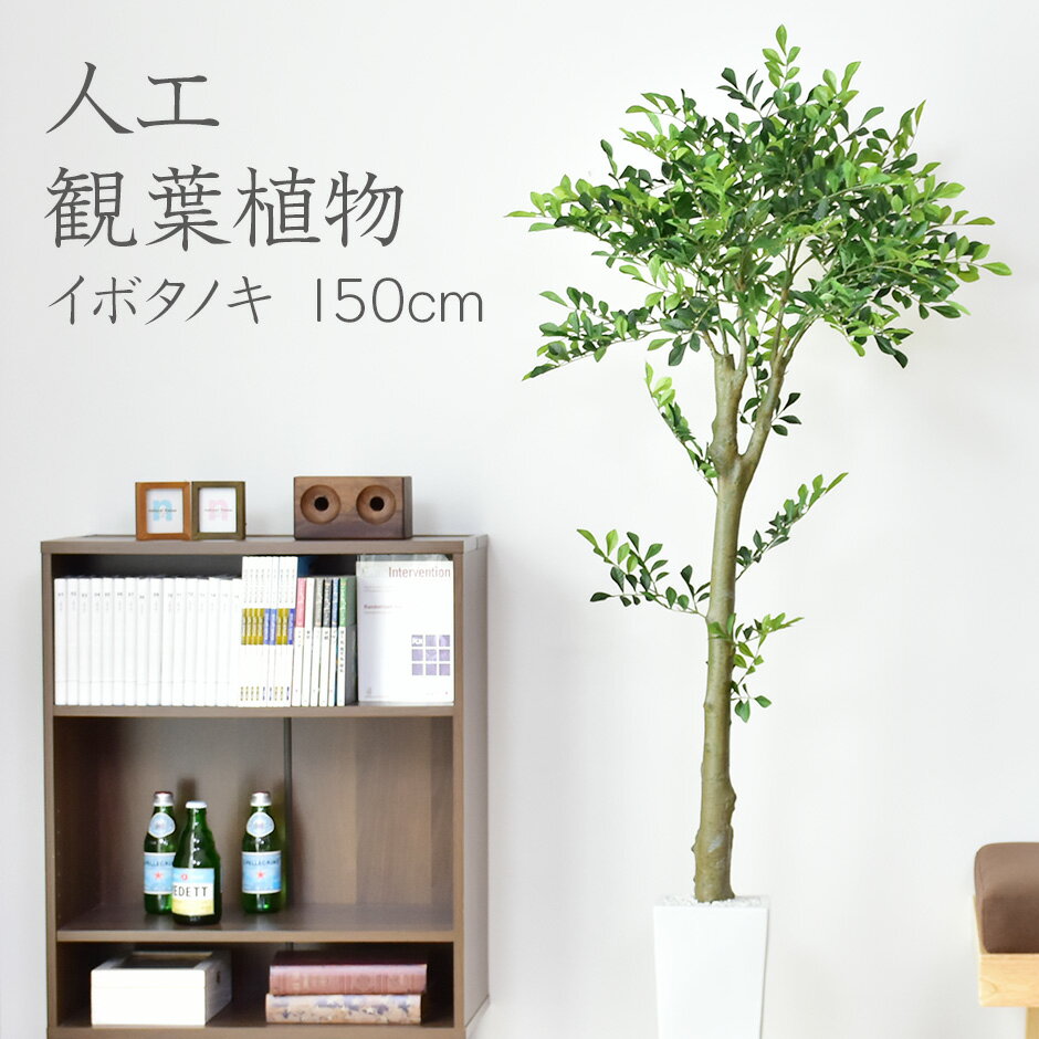 人工観葉植物 フェイクグリーン 観葉植物 イボタノキ インテリアグリーン 造花 光触媒 5号 鉢 水やり不要 インテリア お祝い 誕生日 結婚 父 母 お祝い お礼 贈り物 プレゼント イボタノキ150cm