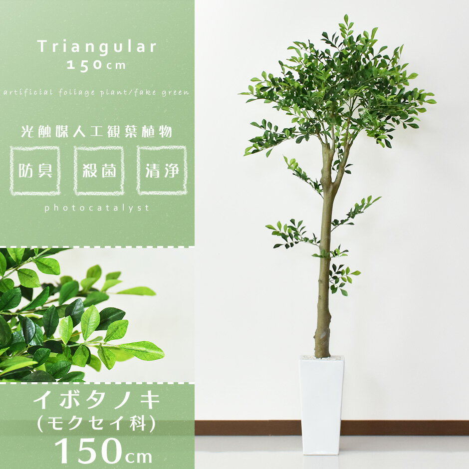 人工観葉植物 大型 高さ150 お手入れ不要 ...の紹介画像2