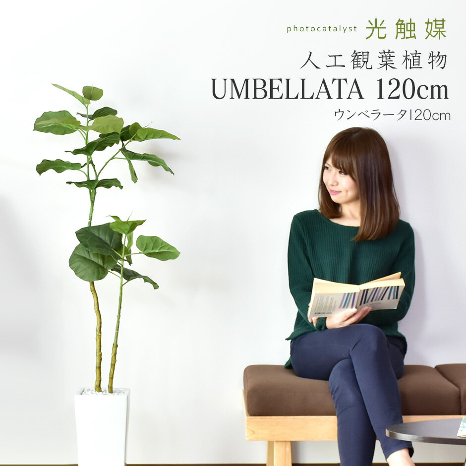 11801円 商品追加値下げ在庫復活 アズワン AS ONE 標準ふるい ID200mm 125μm 5-5390-24 A100503 11801円 商品追加値下げ在庫復活 アズワン AS ONE 標準ふるい ID200mm 125μm 5-5390-24 A100503