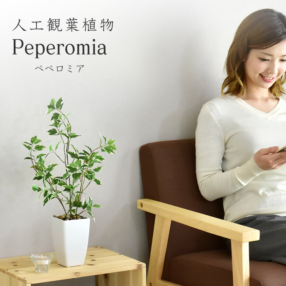 人工観葉植物 お手入れ不要 完成品 かんたん設置 フェイクグリーン フェイクプラント 室内用 鉢付き 置くだけ 観葉植物 ペペロミア 造花 光触媒 水やり不要 インテリア お祝い 誕生日 内祝い お返し 結婚 お祝い 贈り物 プレゼント 北欧 モダン おしゃれ ペペロミア ドリス