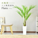 【15％OFFクーポン 4/25 0時～24時】 人工観葉植物 フェイクグリーン 観葉植物 プラム 造花 光触媒 5号 鉢 水やり不要 インテリア お祝い 誕生日 出産内祝い お返し 結婚 父 母 男性 女性 彼氏 彼女 お祝い お礼 贈り物 プレゼント プラム