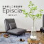 【クーポン20%オフ 2/22 18時 - 2/23 24時】人工観葉植物 光触媒 エピスシア(ガラス鉢) 水やり不要 インテリアグリーン 観葉植物 造花 エピスシア(ガラス鉢)新生活応援 送料無料