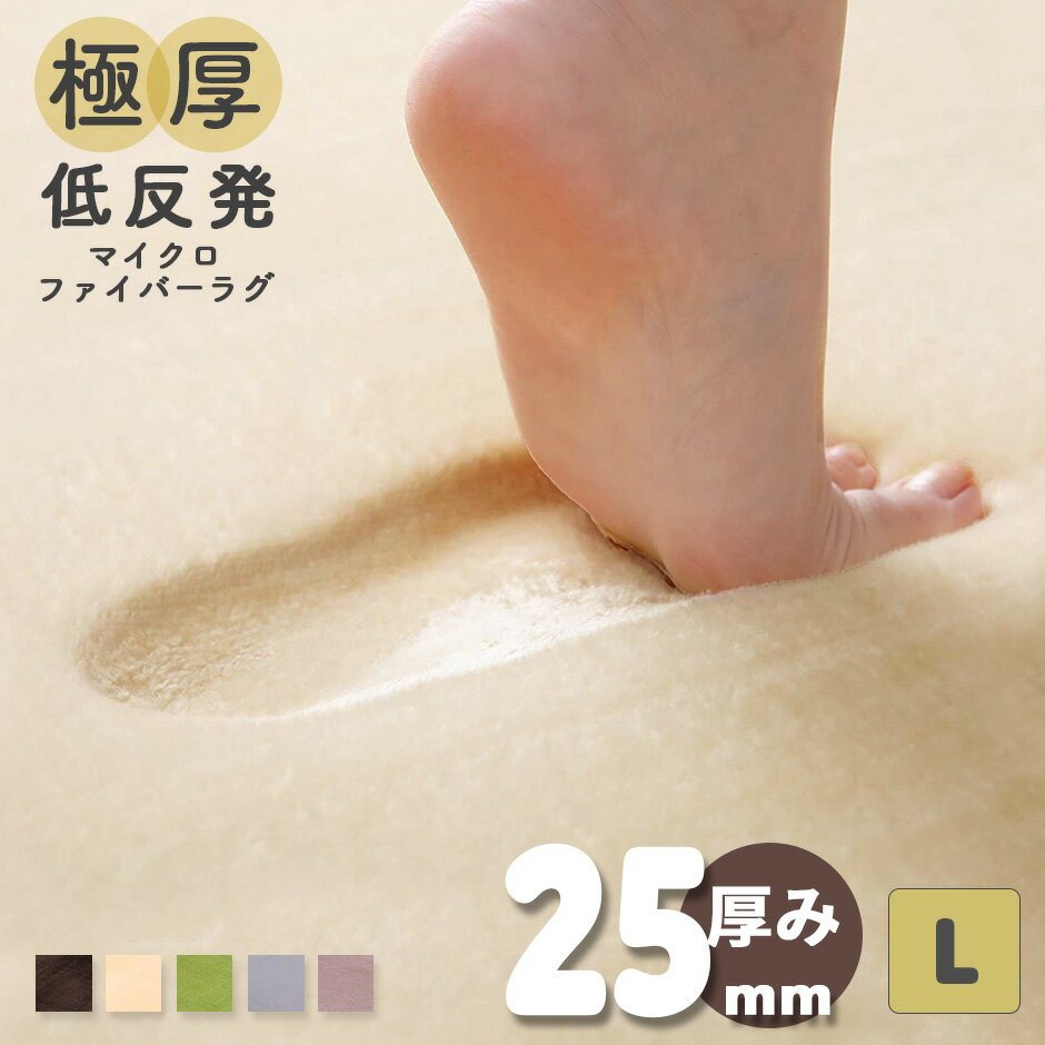 極厚低反発ラグ 幅200 奥行250 厚み2.5 低反発ウレタン 滑り止め付 ラグマット カーペット 送料無料 引越し祝いのサムネイル