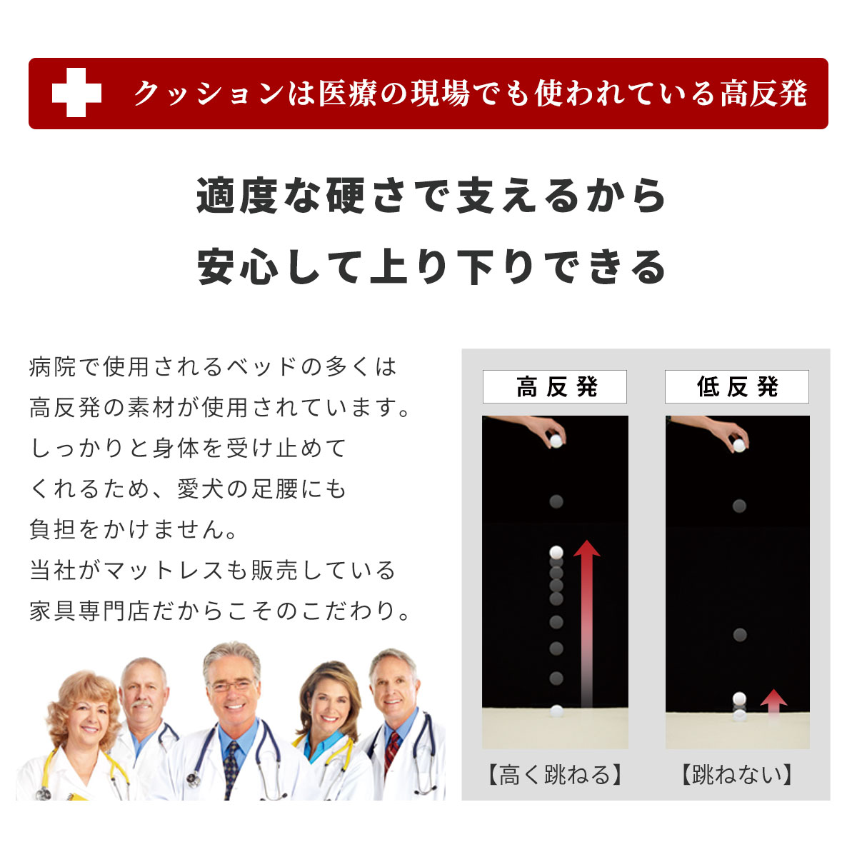 ペット スロープ ペットステップ ドッグステップ ステップ 階段 介護 おしゃれ かわいい リビング 犬 老犬 犬用 インテリア 犬用階段 92 Off ソファ シニア パッソ 寝室 送料無料 ドリス 2段