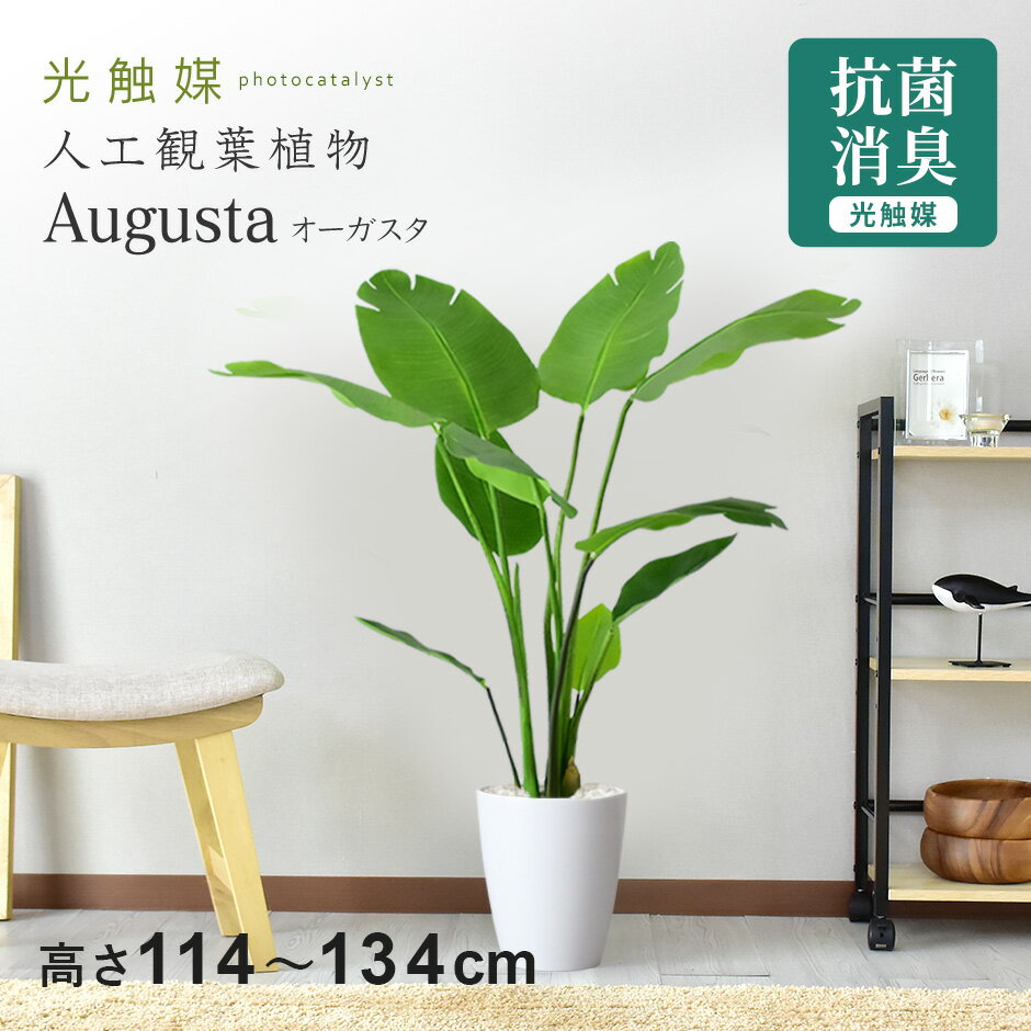 【クーポン20%off 1/15 00時〜26時】 人工観葉植物 お手入れ不要 完成品 かんたん設置 フェイクグリーン フェイクプラント 室内用 鉢付き 置くだけ 観葉植物 造花 光触媒 5号 鉢 水やり不要 インテリア おしゃれ お祝い 誕生日 お返し コンパクト スリム オーガスタ