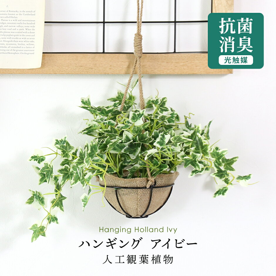 【10％OFFクーポン 5/18 0時-5/19 24時】 人工観葉植物 光触媒 ガーデングリーン・ハンギング 水やり不要 高さ25 インテリアグリーン 観葉植物 造花 防臭 殺菌 抗菌 洗浄 ひっかけ紐付き 吊り飾り アイビー43cm 送料無料