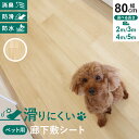 ペット 廊下敷き ペットラグ 洗える 消臭 ペットマット ペットラグ 怪我防止 防水 お手入れ簡単 滑り止め ペット用床材 犬 猫 木目調 幅80 滑りにくい ...
