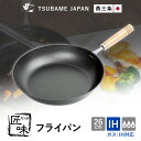 匠味 フライパン 26cm IH・ガス火対応 鉄 調理器具 鉄フライパン 日本製 ナノエンボス加工 燕三条 キッチン 丈夫 軽い 調理用品 一人暮らし 鉄製フラ...