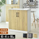 【クーポン15% 9/23 0時-9/24 2時】 オフィス収納 書庫 鍵付き おしゃれ 木製 幅80×奥行41.5×高さ90 書類 木製キャビネット オフィス収納家具 ロッカー 事務所 カジュアル シンプル 木製キャビネット 両開き 2段 書類棚 業務用 開き戸 ファイル収納 ジバレ ドリス