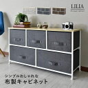 収納ボックス 衣類収納 チェスト ランドリーラック ランドリー収納 収納ケース 二段 子ども服収納 子ども用タンス リングインテリア リビング収納 お風呂場収納...