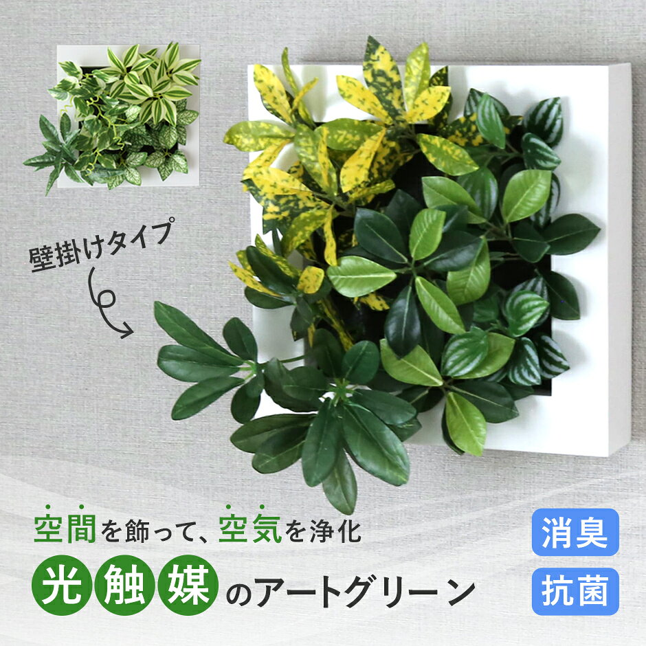 楽天市場】消臭 フェイクグリーン 壁掛けの通販
