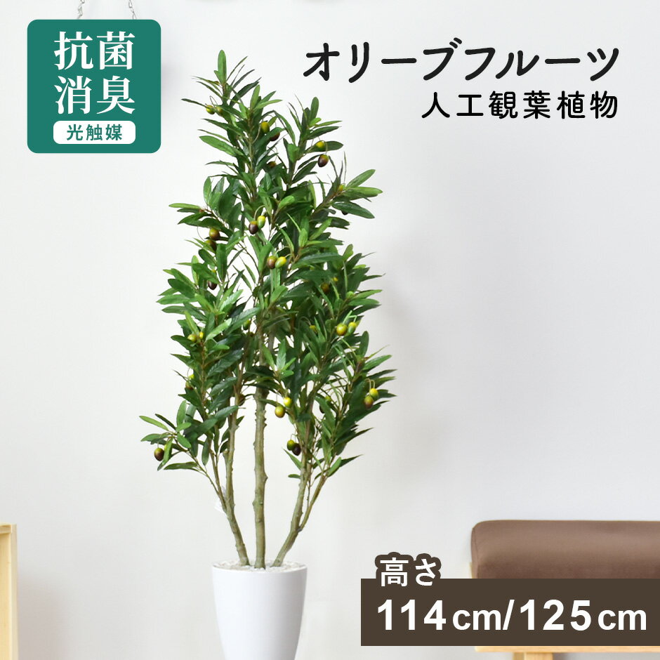 【クーポン20%off 1/15 00時〜26時】 人工観葉植物 フェイクグリーン お手入れ不要 完成品 かんたん設置 光触媒 水やり不要 インテリアグリーン フェイクプラント 観葉植物 造花 鉢付き 置くだけ 完成品 リビングインテリア 北欧 ーブフルーツ ドリス
