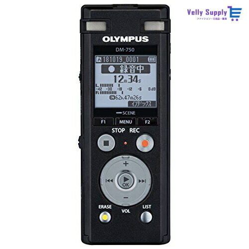 OLYMPUS ICレコーダー VoiceTrek DM-750 DM-750 BLK 内蔵メモリー4GB MicroSD (議事録、会議録音、証拠..