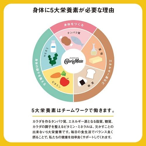 カロリーメイト 大塚製薬 カロリーメイト ブロック バニラ味 4本×30個