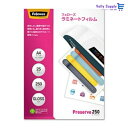 フェローズ ラミネートフィルム 250ミクロン 超厚口 A4サイズ用 25枚入 5849901