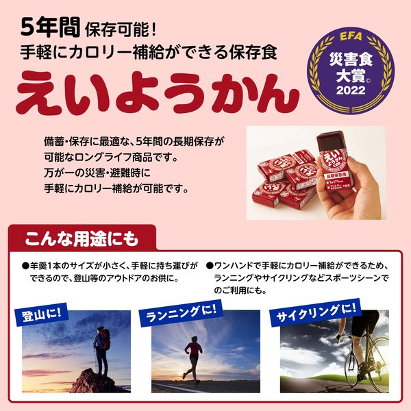 井村屋 20本入 えいようかん 1200g（60g×20本）業務用大容量 長期保存可能 非常食 備蓄用 カロリー補給 vellysupply-10088442 VellySupply サンプル画像3