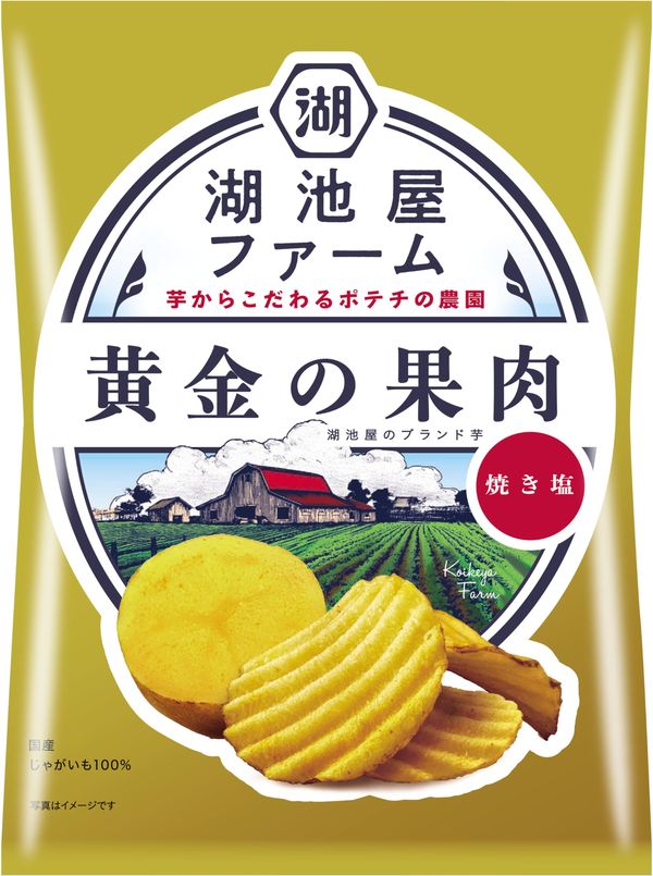 乐天商城 - 湖池屋 湖池屋ファーム 黄金の果肉 焼き塩 55g?12袋