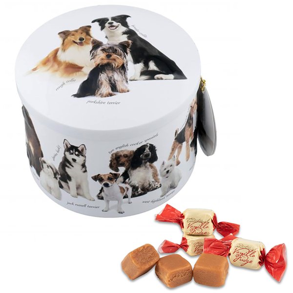 Gardiners of Scotland �����ǥ��ʡ��� �ɥå��� �Х˥�ե��å�200g