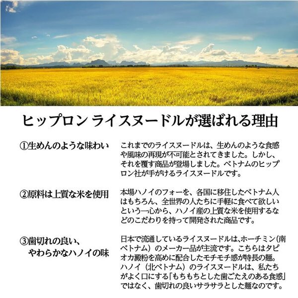 アライドコーポレーション ラミ ライスヌードル（フォー）10mm 200g×12個 vellysupply-10092006 VellySupply サンプル画像3