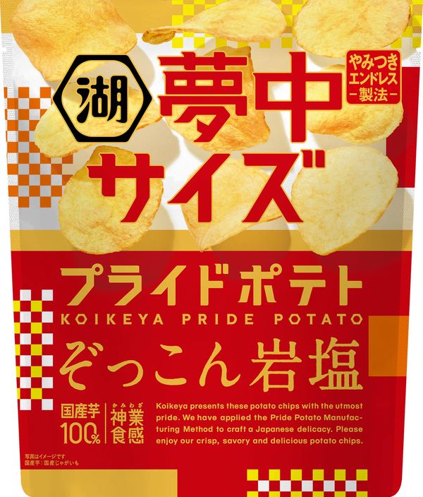 湖池屋 夢中サイズ 湖池屋プライドポテト ぞっこん岩塩 102g?12袋