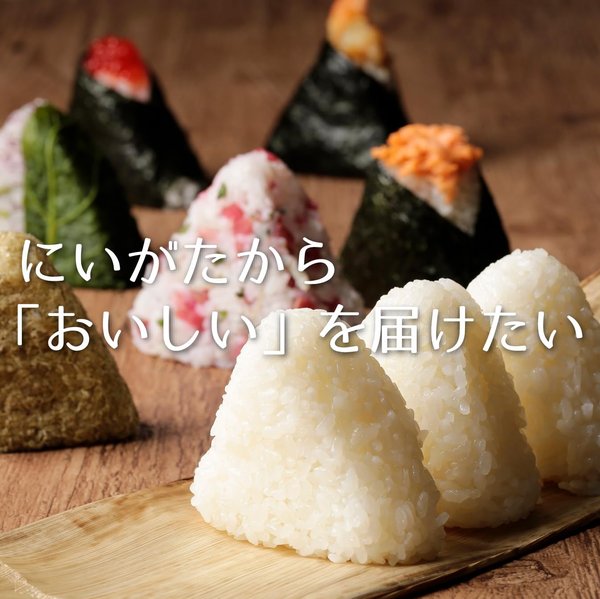 新潟県産新之助 無洗米 5kg 令和7年産