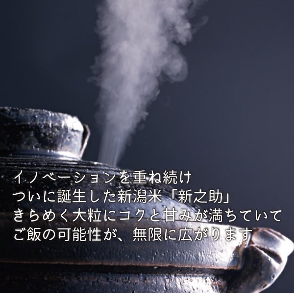 新潟ケンベイ 精米 新潟県産新之助 無洗米 2kg 令和7年産
