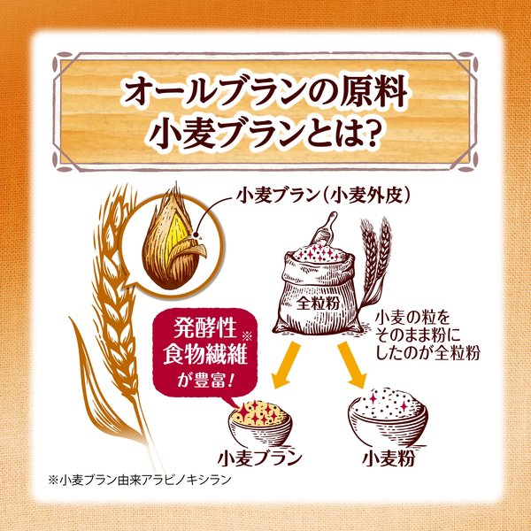 ケロッグ オールブラン ブランリッチ 250g x6袋 小麦ふすま シリアル 腸活 発酵性 食物繊維 vellysupply-10092525 VellySupply サンプル画像3