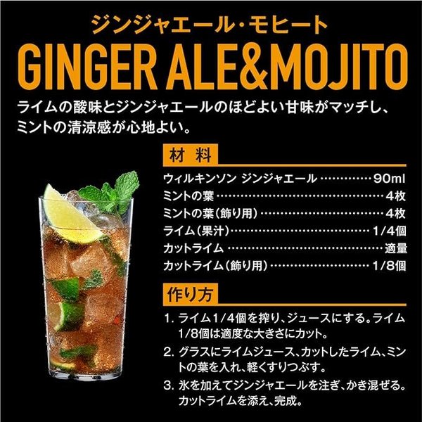 ウィルキンソン アサヒ飲料 ジンジャエール 500mlx24本 [有糖] [辛口] vellysupply-10092686 VellySupply サンプル画像2