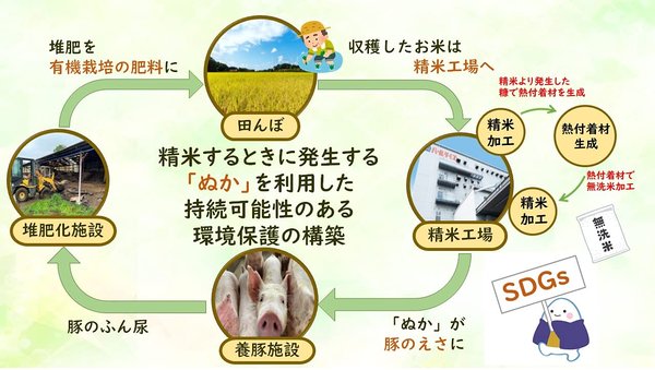パールライス 北海道産 無洗米 ゆめぴりか 5kg 令和7年産 vellysupply-10092223 VellySupply サンプル画像2