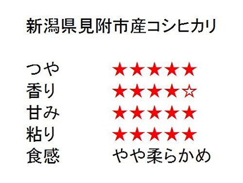 サンプル画像2